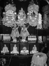 Божества Джаганатхи, Баладевы и Субхадры в больнице Бхактиведанты