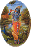 Click here for more about Krishna!